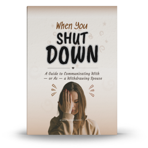 When You Shut Down Cover by LanternGo When You Shut Down Cover